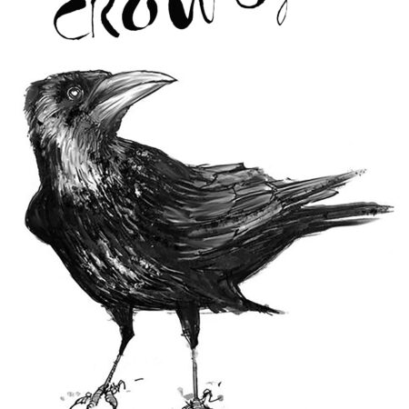Bundle, only 2 available! The Crow Gods by Sarah Connor + St. Eisenberg and the Sunshine Bus, EU & UK